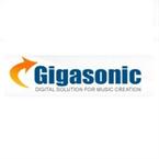 Gigasonic.com